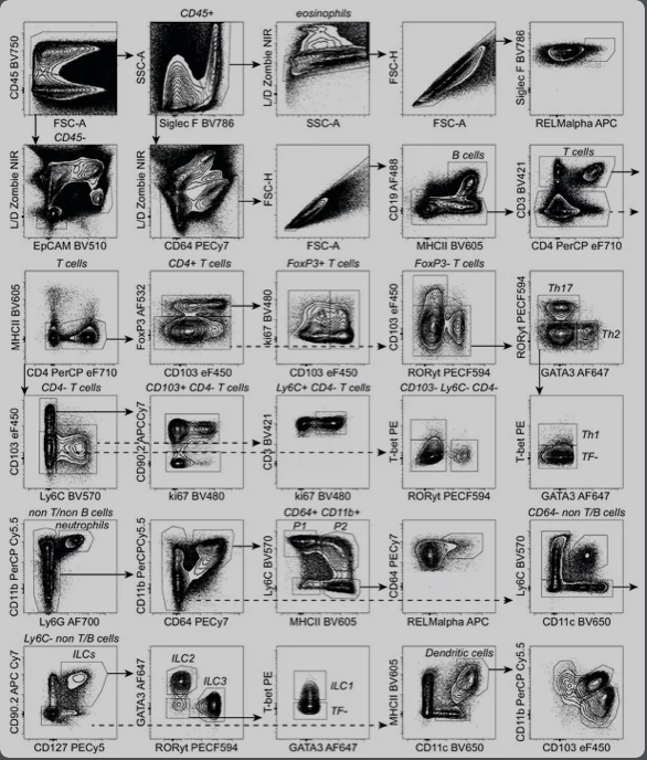 3激光23色：寄生虫感染小鼠肠道免疫高维分析