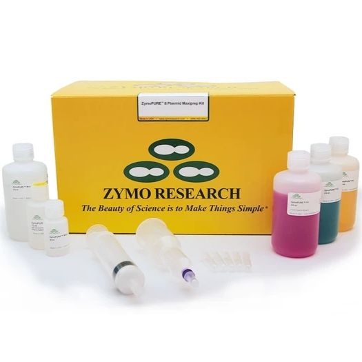 ZymoPURE II Plasmid Maxiprep Kit(质粒DNA大量提取试剂盒(去内毒素))