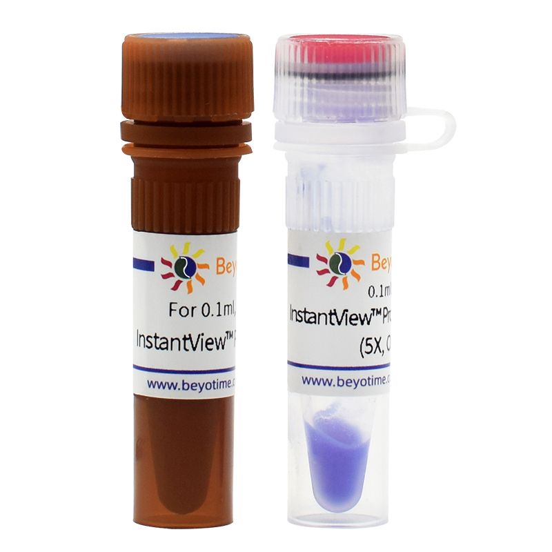 InstantView™ SDS-PAGE蛋白染色及上样缓冲液(5X，无气味) (试用装)