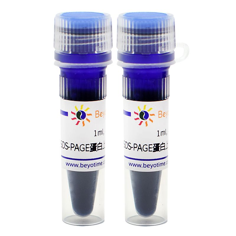 SDS-PAGE蛋白上样缓冲液(5X, 无气味)