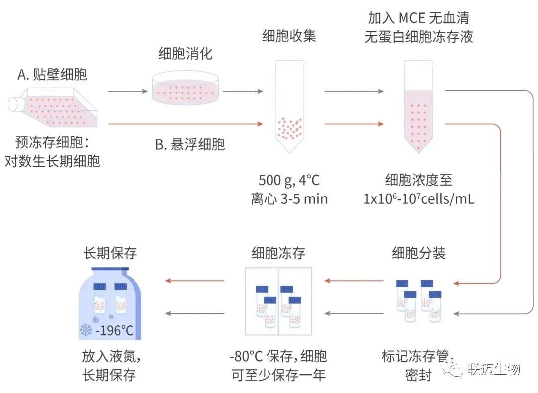 新闻图片2