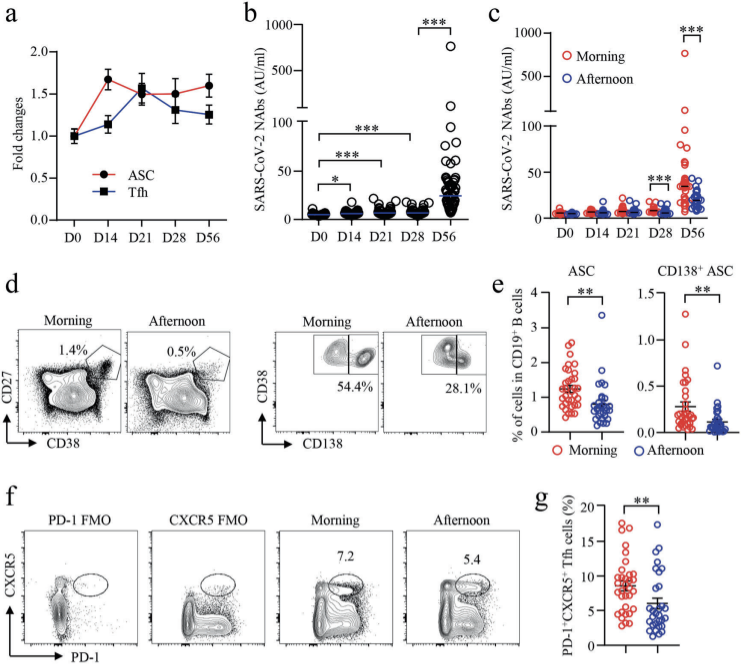 新冠疫苗上午接种效果更佳-Cytek持续推动高水平新冠研究
