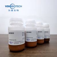 病毒核酸纯化磁珠/磁性微球