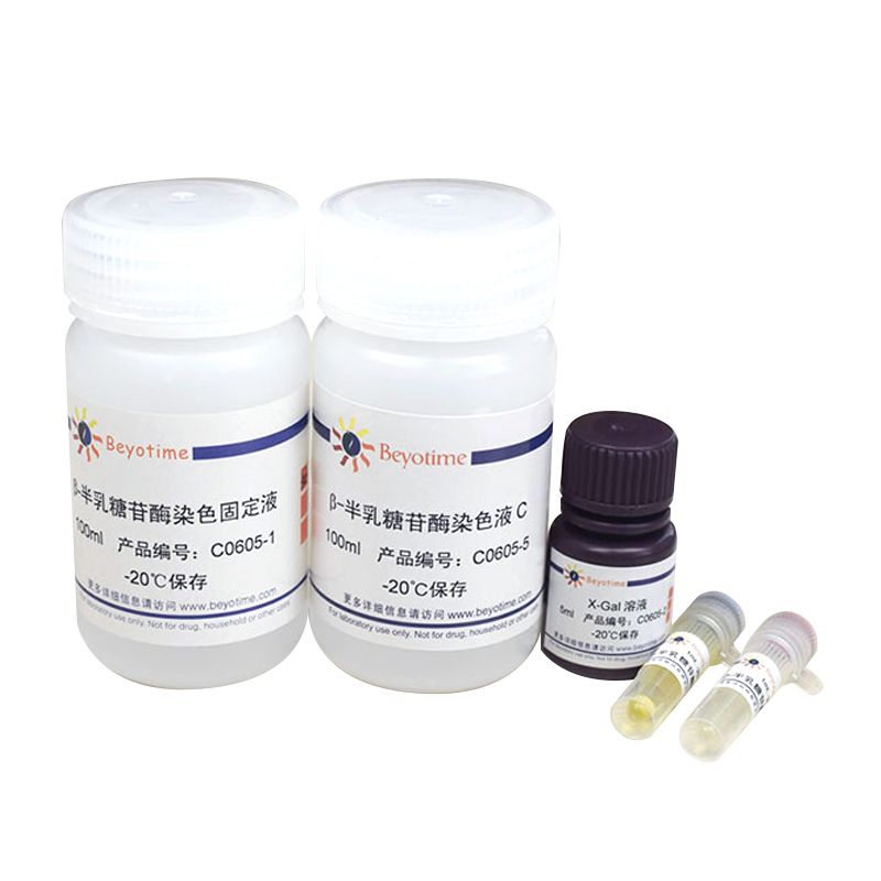 溶酶体β-半乳糖苷酶染色试剂盒