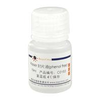 Kisser封片液(phenol free)
