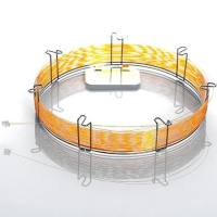 260A047P赛默飞气相色谱柱TRACE-TR 毛线管色谱柱TR-1 GC Column 30m x 0.25mm ID, 0.1µm