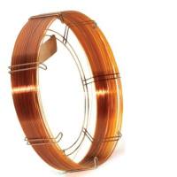 260A482P美国赛默飞TRACE TR-1 MS气相色谱柱热电Thermo毛细管柱经销商价格