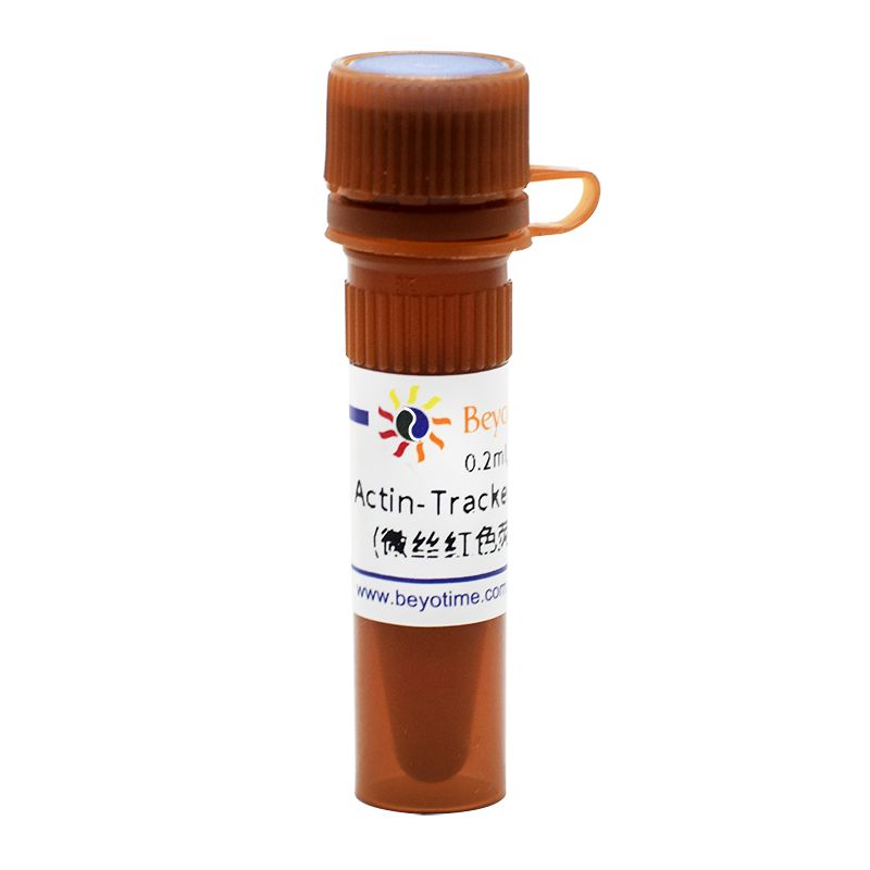 Actin-Tracker Red-555 (微丝红色荧光探针)