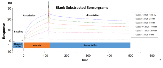 Biacore分子间相互作用在科研中的应用最全汇总