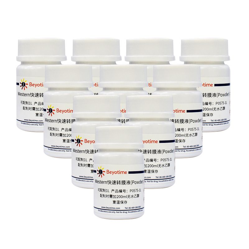 Western快速转膜液(Powder)