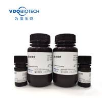 流式绝对计数微球 6um