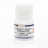 QuickBlock™ Western一抗稀释液(试用装)