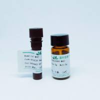 脂性Cy3.5 双酸 SE  荧光染料