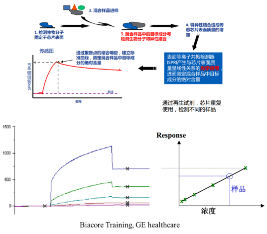 Biacore分子间相互作用在科研中的应用最全汇总