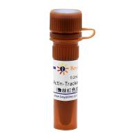 Actin-Tracker Red-594 (微丝红色荧光探针)