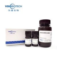 链霉亲和素(SA)修饰时间分辨荧光微球(100-300nm)