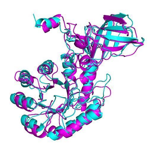 Recombinant Human GRAP2 protein | 人GRAP2蛋白 | Human GRAP2 protein