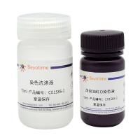 改良油红O染色试剂盒