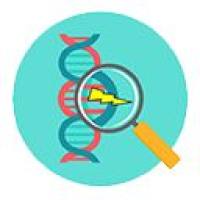 SITE-seq体外脱靶检测及高通量sgRNA筛选