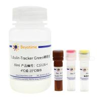 微管绿色荧光染色试剂盒(活细胞染色用)