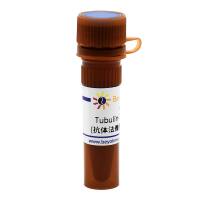 Tubulin-Tracker Green (抗体法微管绿色荧光探针)