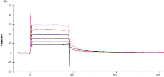 Biacore分子间相互作用在科研中的应用最全汇总