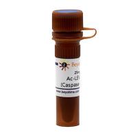 Ac-LEVD-pNA (Caspase 4显色底物)