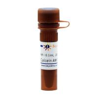 Calcein AM (钙黄绿素AM)