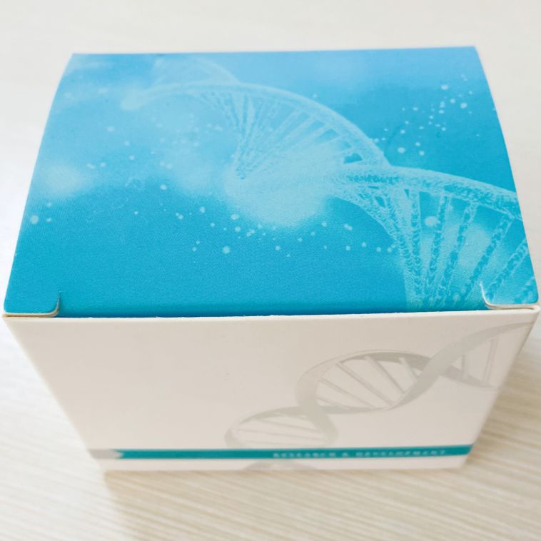 转基因大豆品系MON87705核酸检测试剂盒（PCR-荧光探针法）