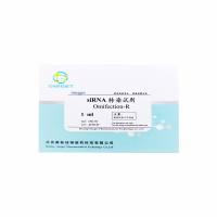Omc-02 Omifection-R siRNA  转染试剂