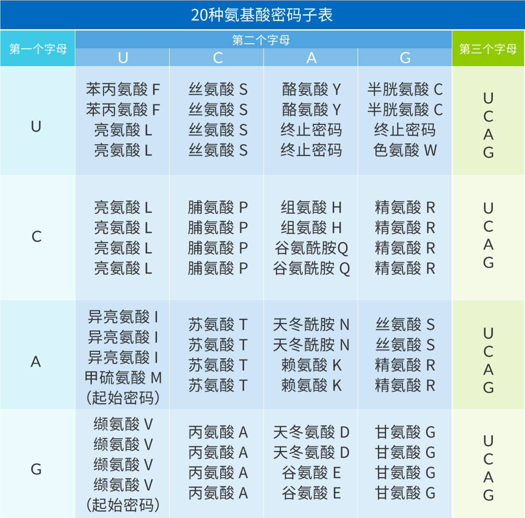 “薅”羊毛|擎科免费提供密码子优化