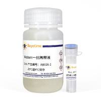 Bax抗体(小鼠单抗)