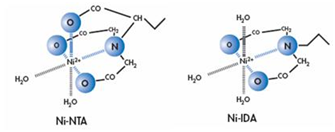 His-Tag蛋白纯化原理、步骤及常见问题