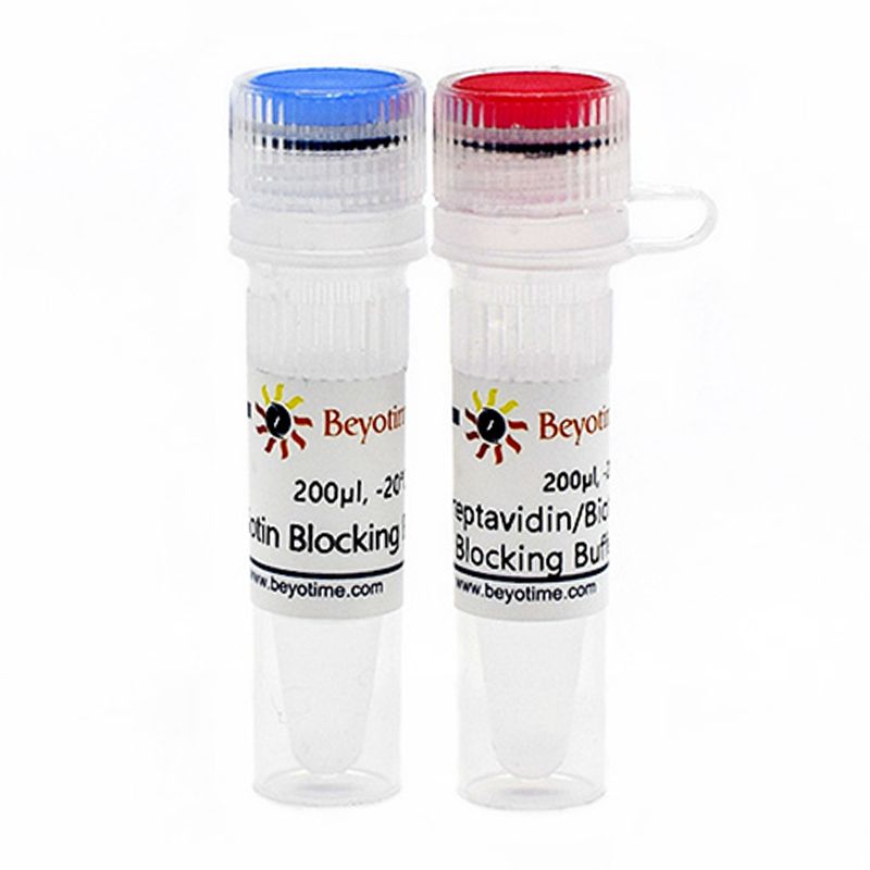 生物素检测封闭试剂盒
