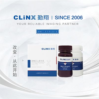 ECL超敏发光液