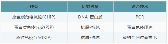 免疫沉淀常见问题及解决方案
