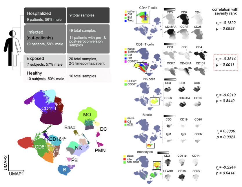 捷报不断，Cytek全光谱流式技术加速新冠前沿进展