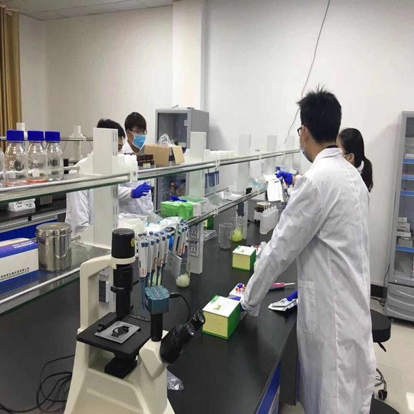 本公司技术要点讲谈ELISA试验检测计划