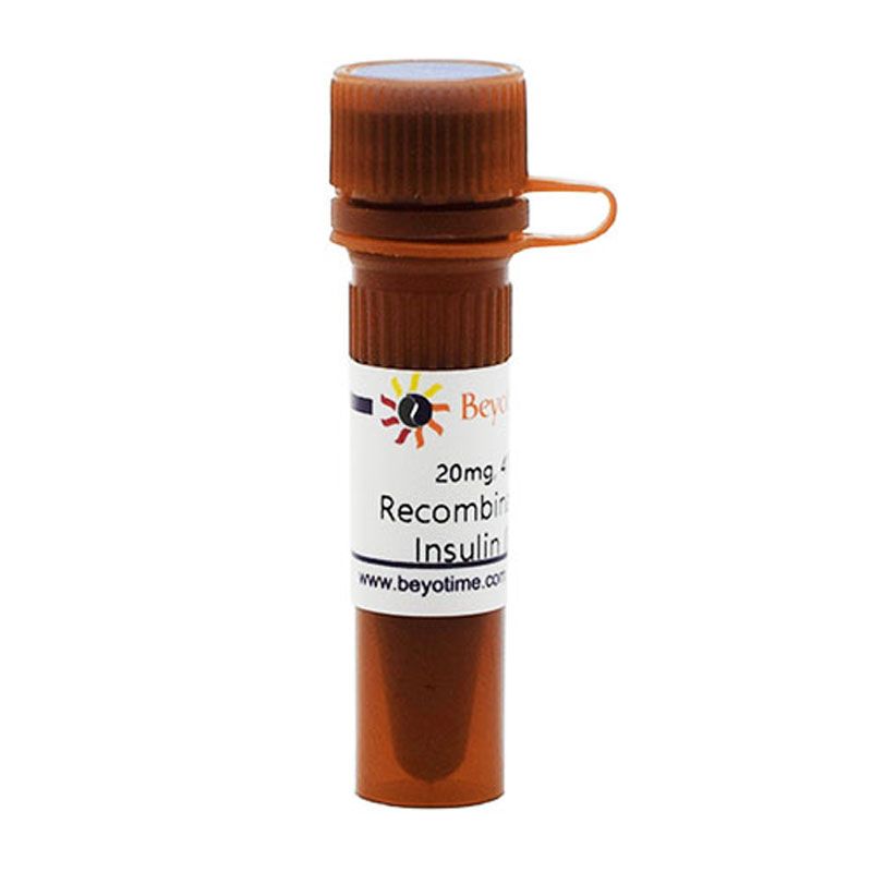Recombinant Human Insulin (Powder)