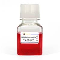 胰酶细胞消化液(0.05%胰酶, 含酚红)