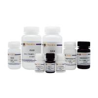 NF-κB激活－核转运检测试剂盒