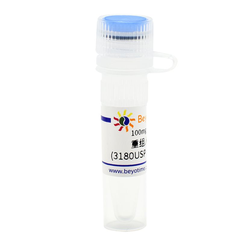 重组人胰蛋白酶