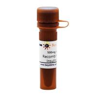 Recombinant Human Insulin (Powder)