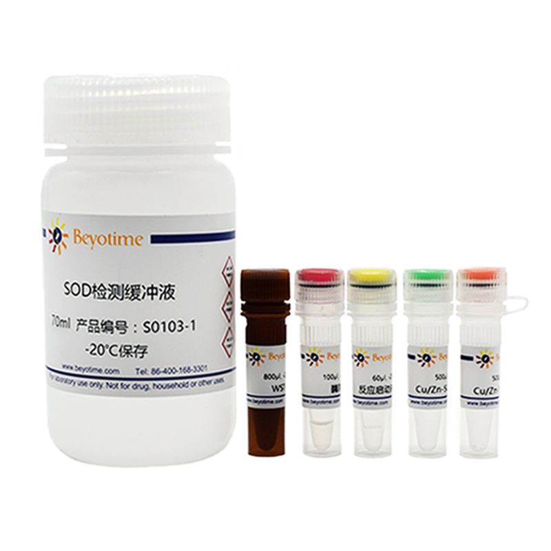 CuZn/Mn-SOD活性检测试剂盒(WST-8法)