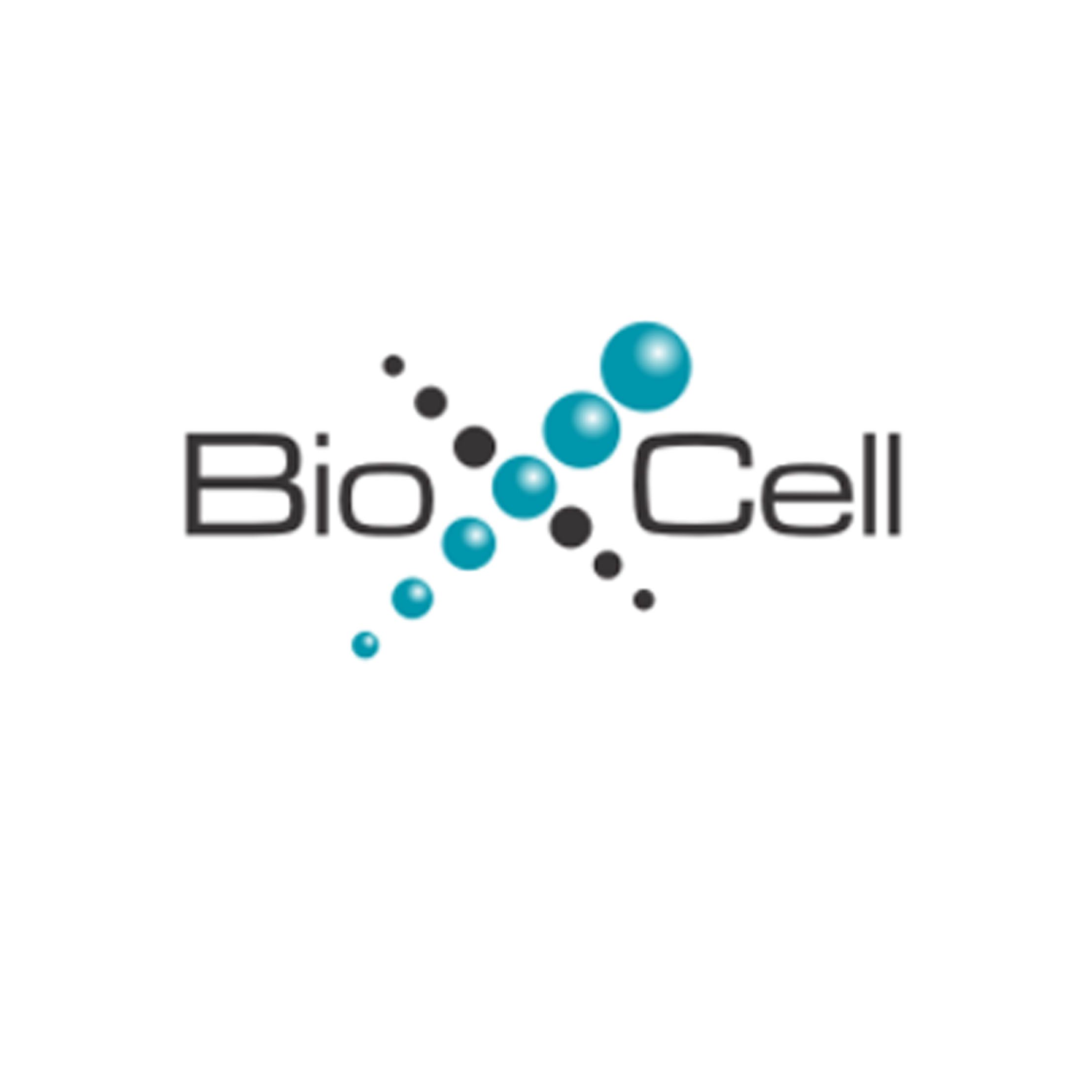 Bio X Cell组织培养生产抗体，亲和层析法纯化抗体，现货
