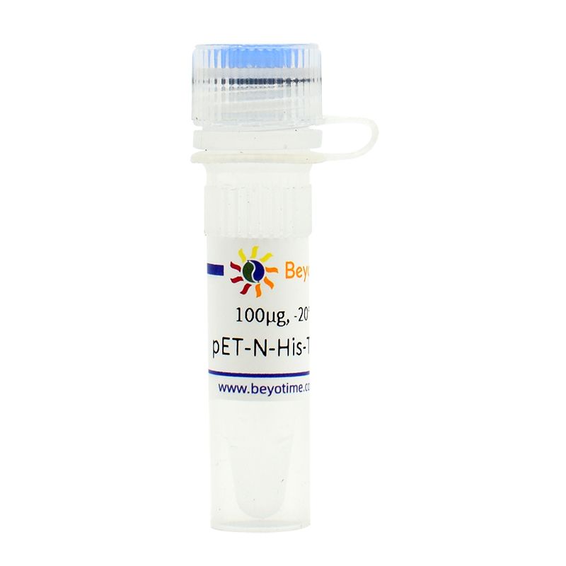 pET-N-His-TEV-QUEEN7μ (高灵敏度细菌ATP荧光探针)