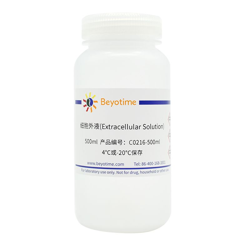 细胞外液(Extracellular Solution)