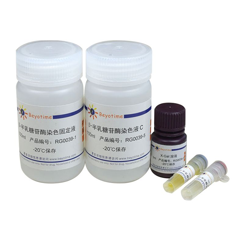 β-半乳糖苷酶原位染色试剂盒
