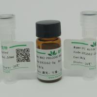 CelRed(效果同GelRed)核酸染料(10,000× 水溶液)