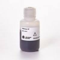 RNAClean XP_40 mL 核酸纯化试剂盒